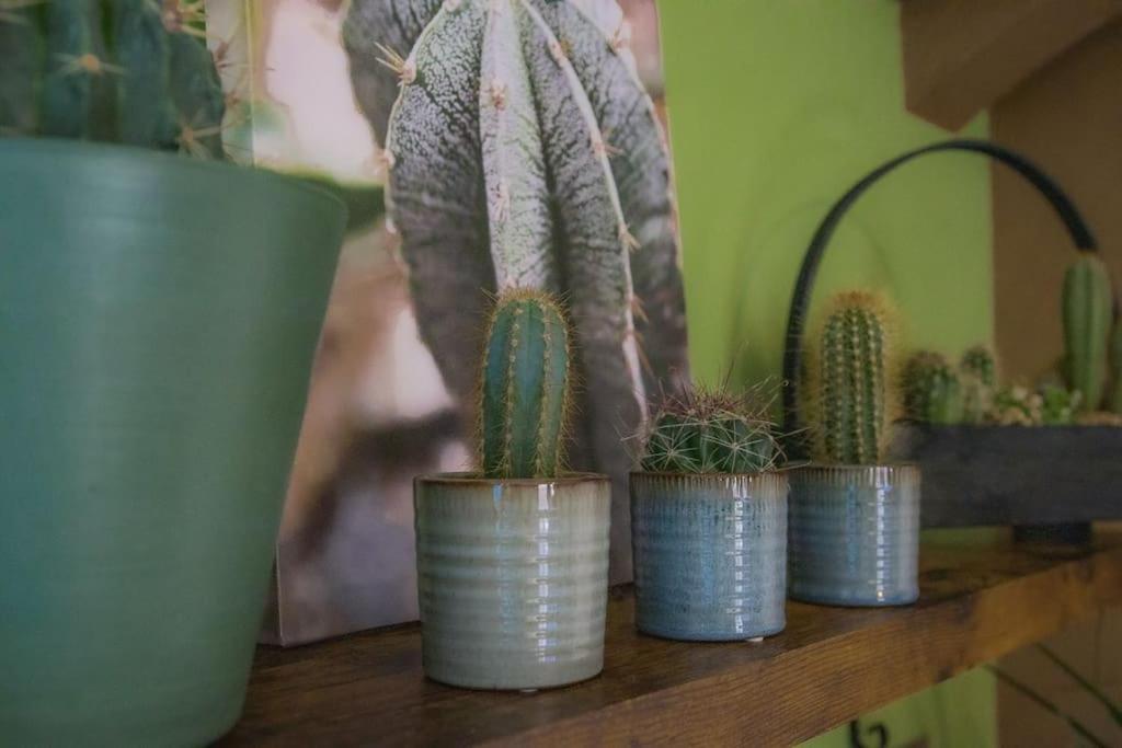 Coin De Nature En Centre-Ville تروي المظهر الخارجي الصورة