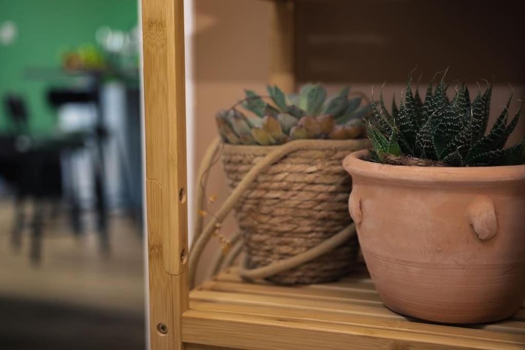 Coin De Nature En Centre-Ville تروي المظهر الخارجي الصورة
